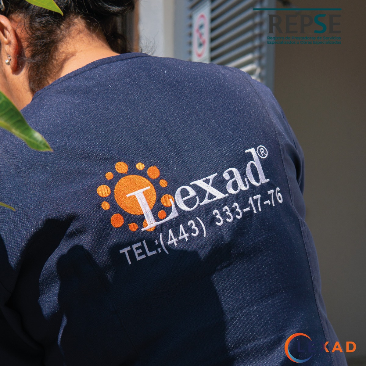 Lexad - img5